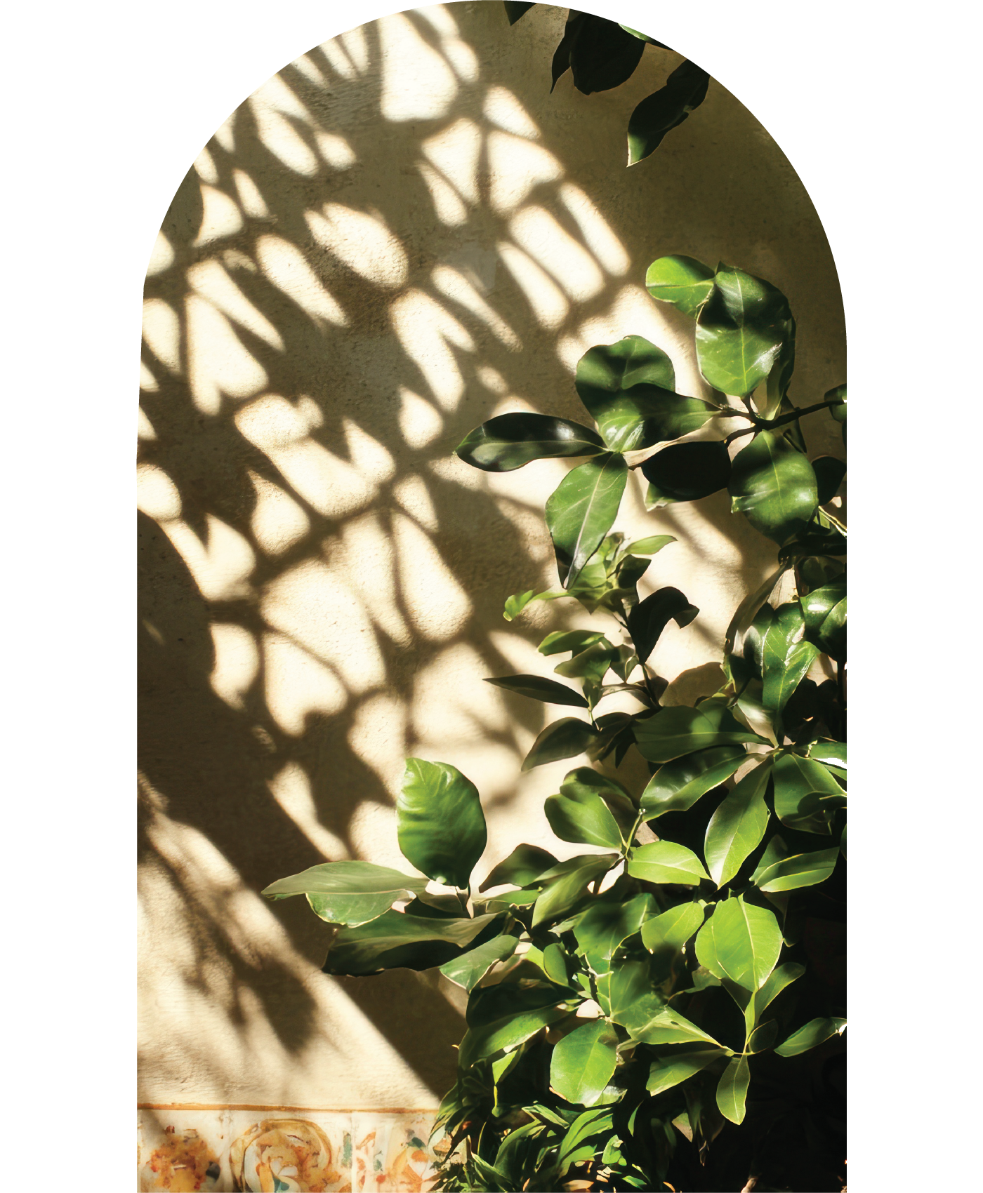 Eco